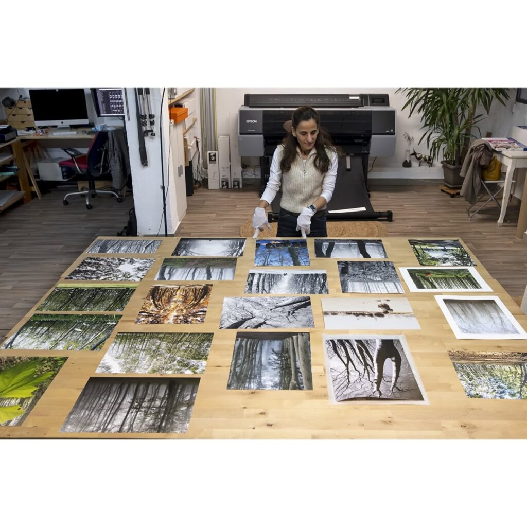 Instagram post from la_impressio_fineart. This post is in position 0.