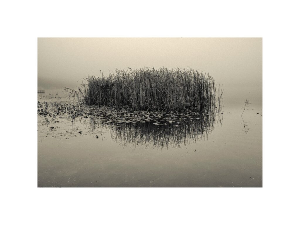 Instagram post from la_impressio_fineart. This post is in position 0.