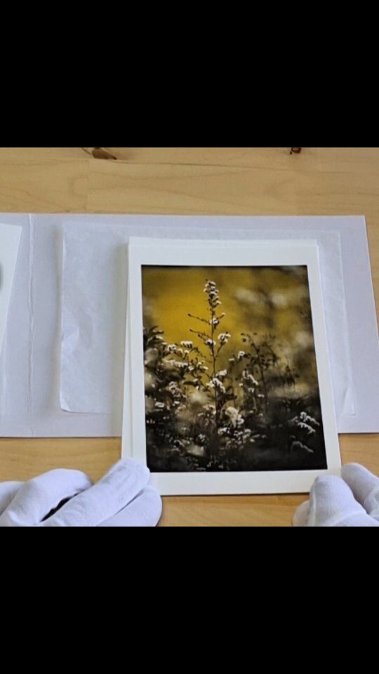 Instagram post from la_impressio_fineart. This post is in position 1.