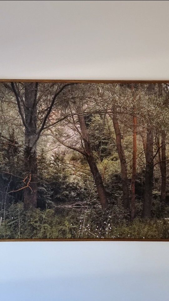 Instagram post from la_impressio_fineart. This post is in position 0.